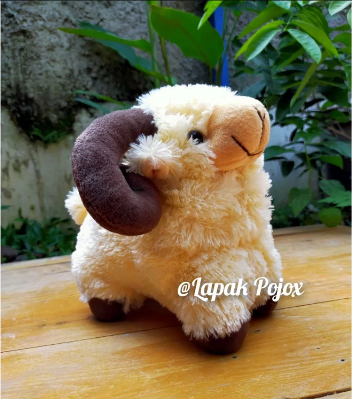 Tanduk Coklat S